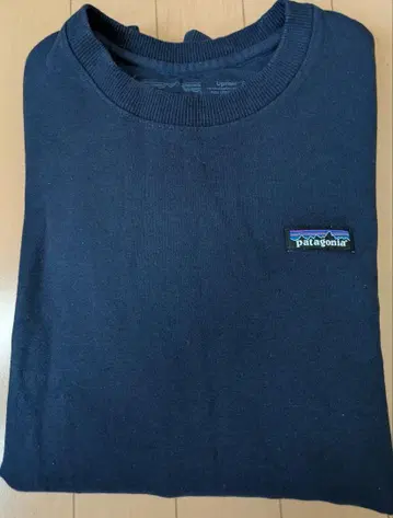 patagonia P-6 라벨 업라이저 크루 맨투맨 네이비