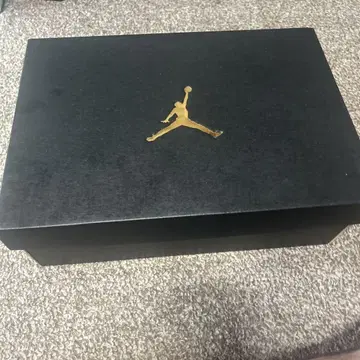 Jordan CourtSide 23 Desert Brown 8.5