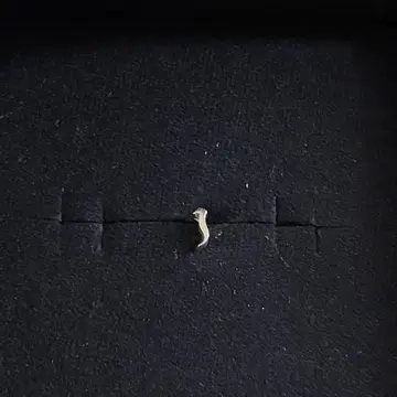 LORO initial pierce [ j ]