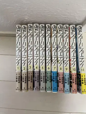 쇼하쇼텐 전권
