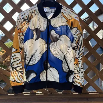 adidas 컬러풀 그래픽 저지
