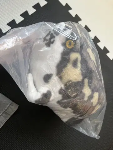 아메후쿠라 개구리 봉제 인형 파충류