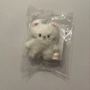 straykids 팬미팅 지니 레트 키링