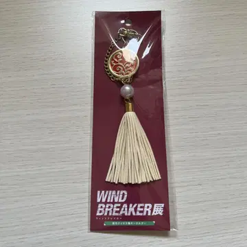 WINDBREAKER전 태슬풍 키링