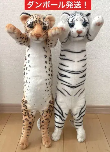 타치 ZOO 가오 화이트 타이거 레오파드
