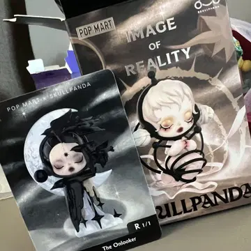 SKULLPANDA IMAGE OF REALITY 피규어
