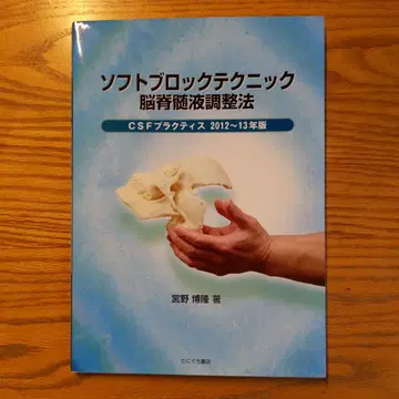 소프트 블록 테크닉 뇌척수액 조정법 CSF 프랙티스 2012~13년판