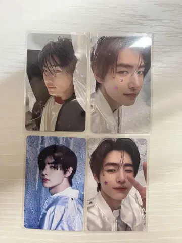 enhypen 트레이딩 카드 성훈 Daydream