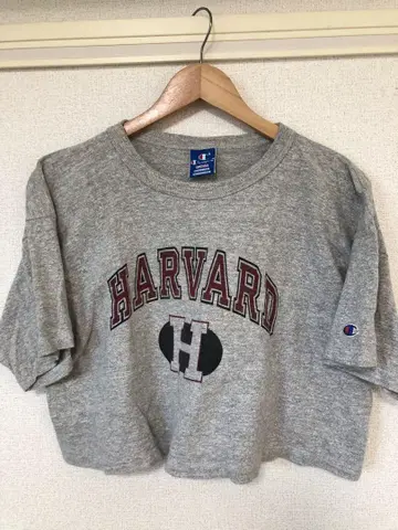 HARVARD Champion 그레이 T셔츠 숏 기장