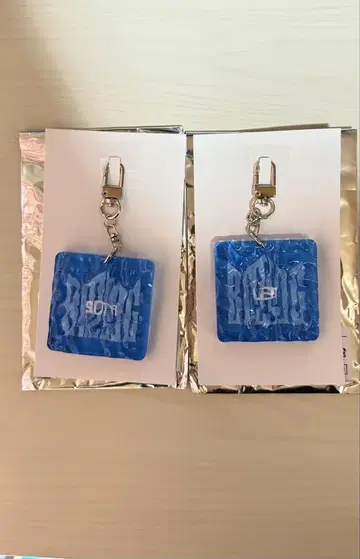 웨이브 키링 소타, 레오