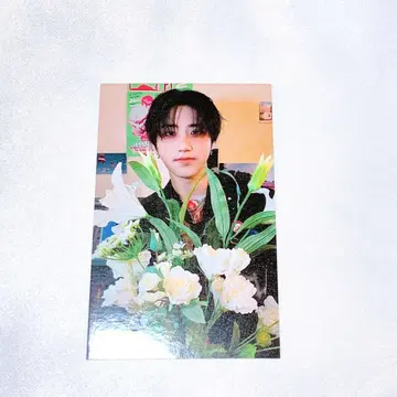 Stray kids HOP HMV 럭키 드로우 A 한