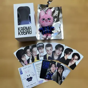 스키즈 karma skzoo ver 돼끼