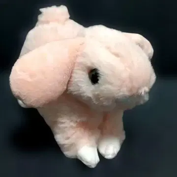 마론 롭이어 봉제 인형 핑크