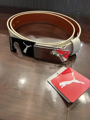 PUMA 화이트/브라운 벨트