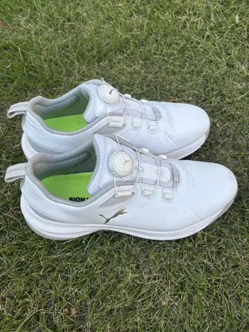 PUMA 골프화 화이트 다이얼식