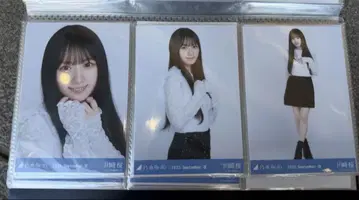 노기자카46 브로마이드 스팽글 카와사키 벚꽃 컴프