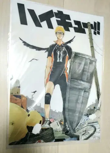 하이큐!! 츠키시마 케이 코믹 19권 JC커버 A4 클리어 파일 카라스노