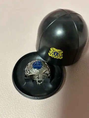 [ 가정교사 히트맨REBORN! ] 대공의 반지