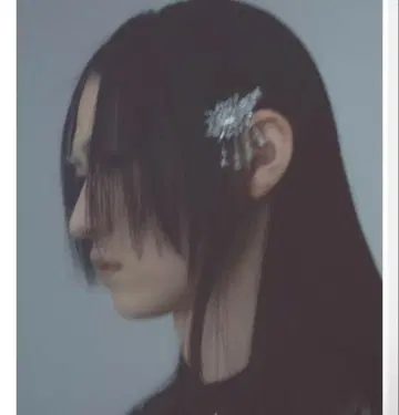 타나카다이스케 crystal hair clip