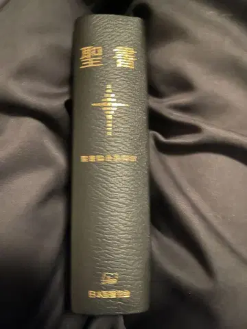 성경 성서협회 공동 번역 총가죽장정 소형 SI48