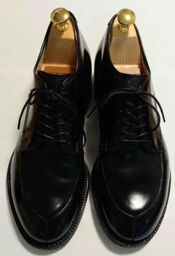 Alden 알든 54331 코도반 V 칩 7.5 블랙