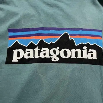 [ XL ] patagonia 파타고니아 로고 백 프린트 T셔츠