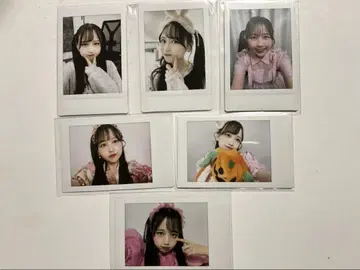 마츠모토 카렌 양 폴라로이드