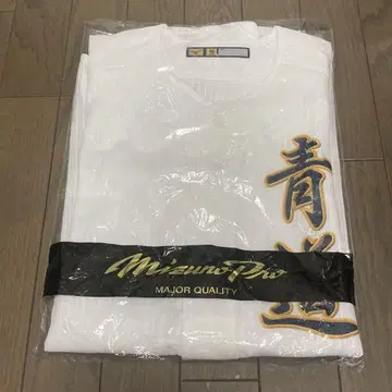 다이아몬드 A 미즈노 유니폼