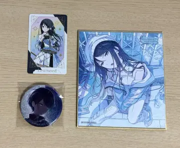 프로세카 호시노 이치카