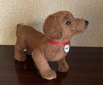 닥스훈트 발디 슈타이프