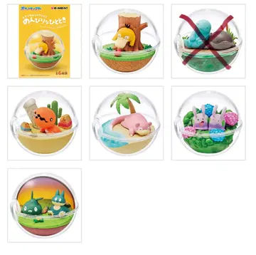 포켓몬 테라리움 컬렉션 세트