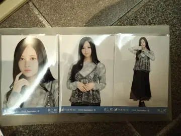 이노우에 와카 스팽글 브로마이드 컴프