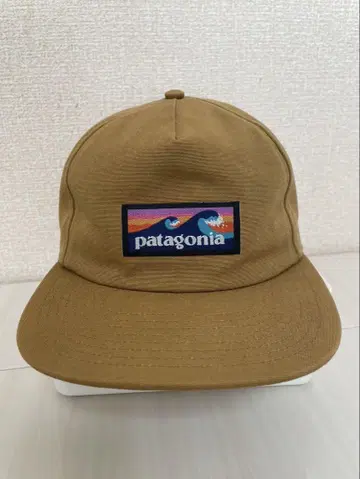 patagonia 파도 자수 브라운 캡