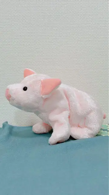 손바닥 크기 아기 돼지 ty 봉제 인형 새상품급