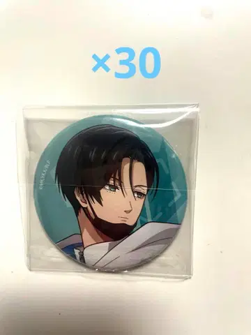 블루 록 이토시 린 택티컬 캔뱃지 묶음 판매