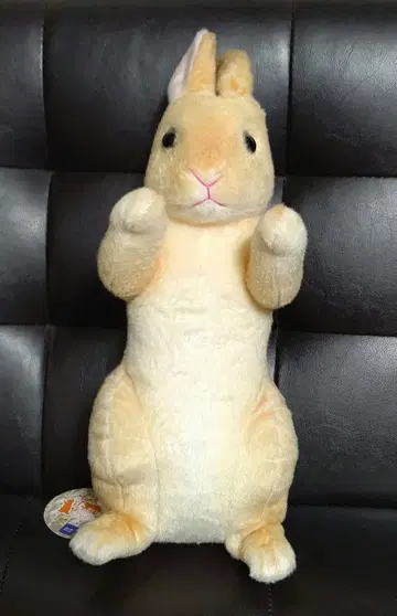 터치ZOO 래빗 봉제 인형 토끼 리얼