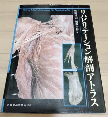 재활 해부학 아틀라스