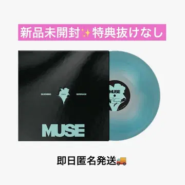 Jimin BTS MUSE Color LP 지민 레코드 미개봉 새상품