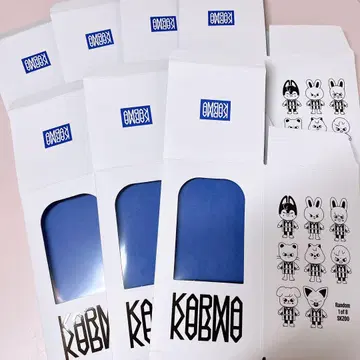 StrayKids KARMA SKZOO 키링 BOX만 7개