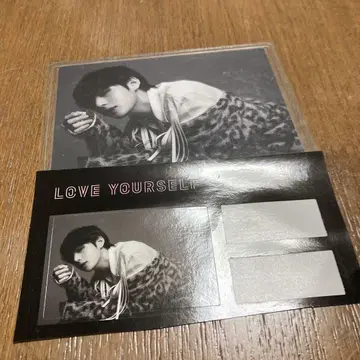 BTS LOVEYOURSELF 사진 & 씰 김태형 V 태태