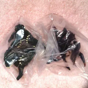 포옹 가메라&솔저 레기온 2종 세트