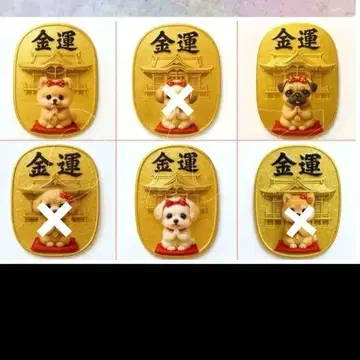 오더 접수 코반