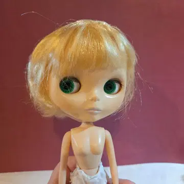 네오 브라이스 인형 본체