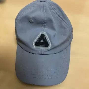 Palace 그레이 캡