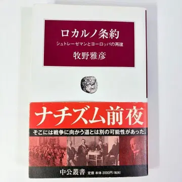 로카르노 조약 슈트레제만과 유럽의 재건 (중공총서)