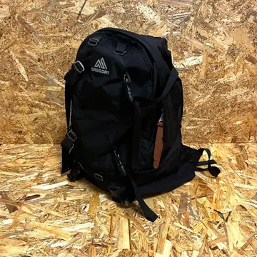 GREGORY DAY&HALF backpack outdoor y2k