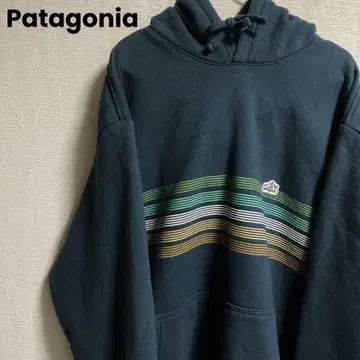 Patagonia 파타고니아 후드 맨투맨 보더