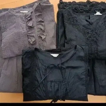 사만사 모스모스 묶음 판매