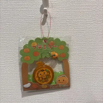 미캉보야 푸치 거울