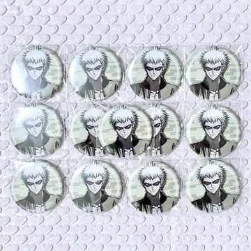 야쿠시지 타케마루 WonderGOO 캔뱃지 13점 set
